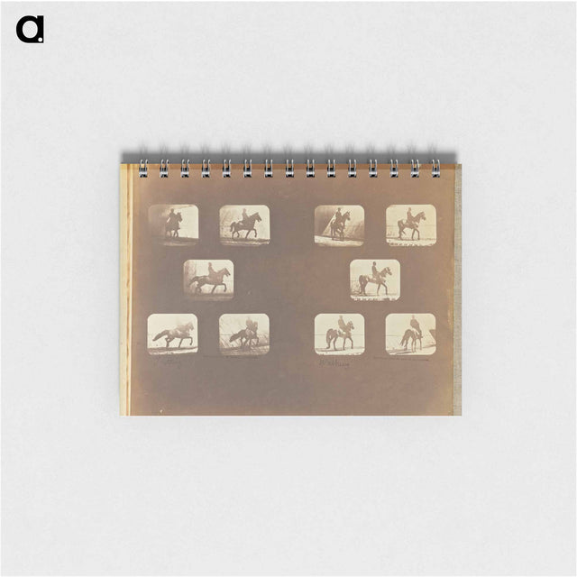 アートメモ帳-Trotting. Walking
 - エドワード マイブリッジ Memo.