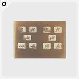 アートポストカード-Trotting. Walking
 - エドワード マイブリッジ Postcard.