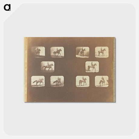 アートポストカード-Trotting. Walking
 - エドワード マイブリッジ Postcard.