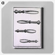 アートパネル-Eyelash Tweezers for Treatment of Trichiasis
 - 国立医学図書館 Canvas.