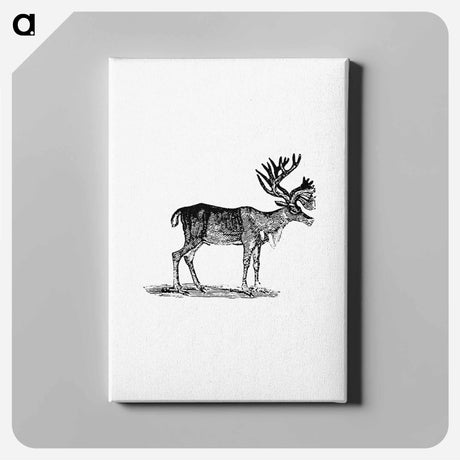 アートパネル-Reindeer Illustration
 - 大英図書館 Canvas.