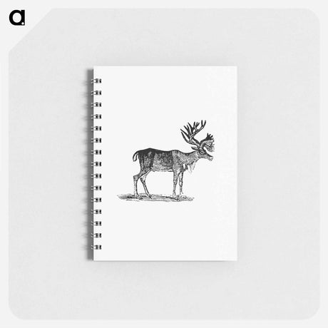 アートメモ帳-Reindeer Illustration
 - 大英図書館 Memo.