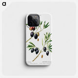 Olive (Olea Europæa) - ピエール ジョゼフ ルドゥーテ Phone Case.