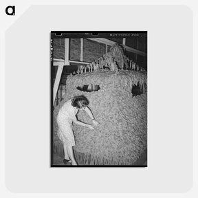 アートポストカード-American Legion Float
 - ラッセル リー Postcard.