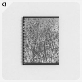 アートメモ帳-Wheat in Oklahoma - ドロテア ラング Memo.