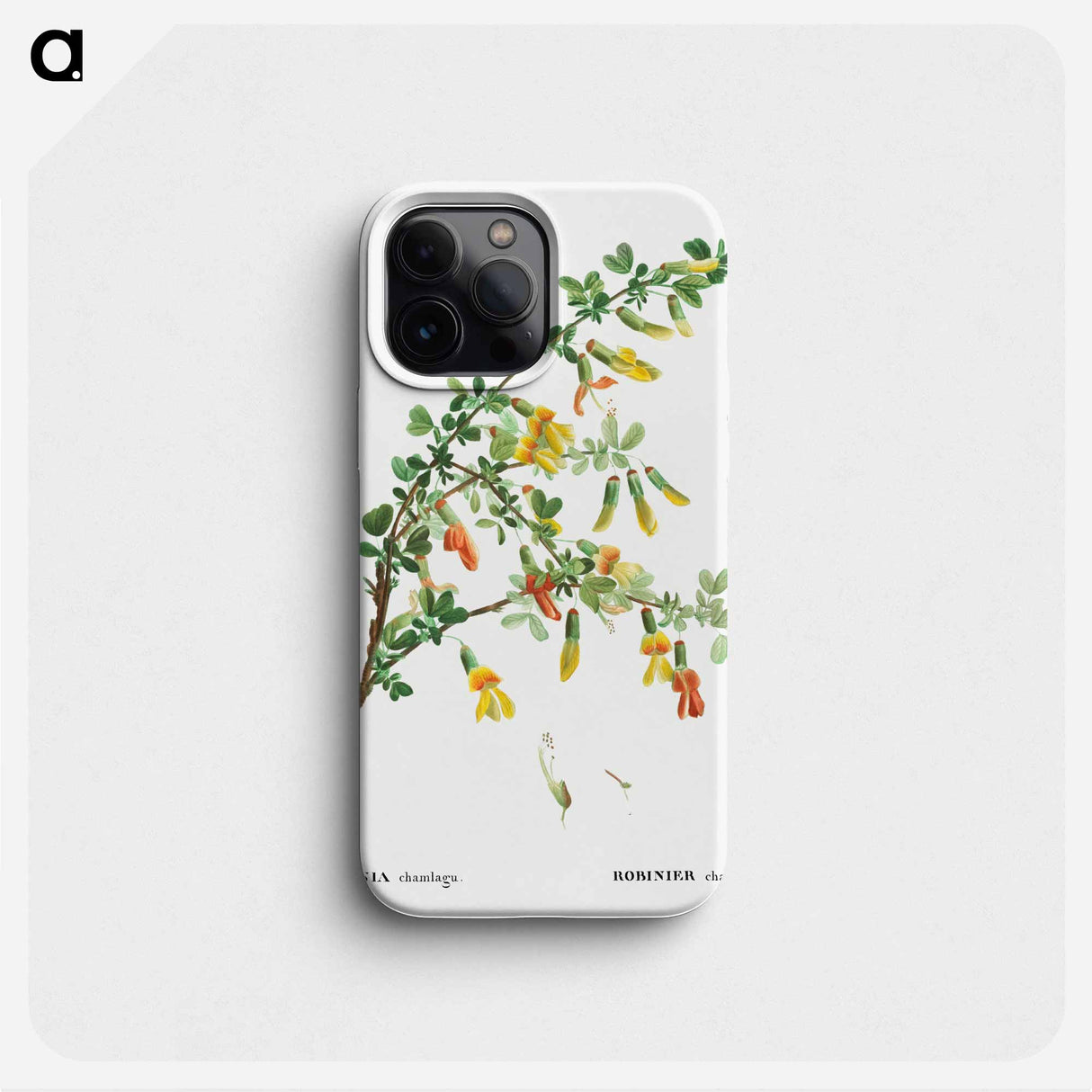 Robinia chamlagu - Pierre Joseph Redouté Phone Case.