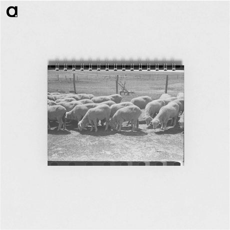 アートメモ帳-Silverton Miner's Home
 - ラッセル リー Memo.