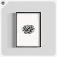 アートポスター-Winter Bird Etching Illustration
 - 大英図書館 Poster.