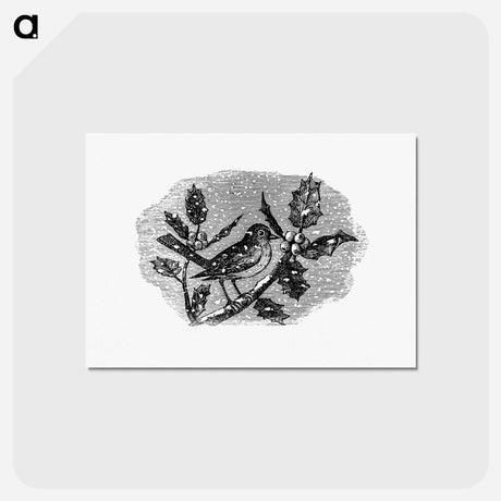 アートポストカード-Winter Bird Etching Illustration
 - 大英図書館 Postcard.