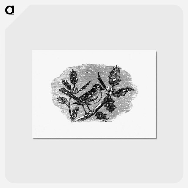 アートポストカード-Winter Bird Etching Illustration
 - 大英図書館 Postcard.