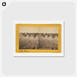 アートポストカード-Colon (Aspinwall.) From Light House
 - エドワード マイブリッジ Postcard.