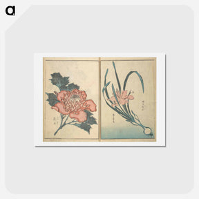 アートポストカード-Picture Book with Mixed Verses on Jōruri (Puppet Theater) - 葛飾 北斎 Postcard.