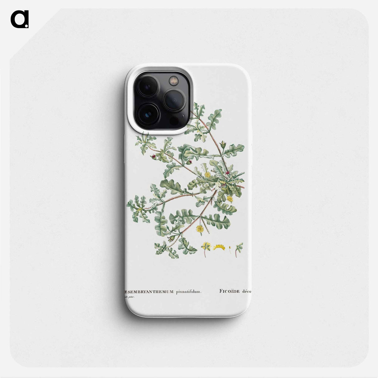 Mesembryanthemum Pinnatifidum (Jagged–Leaved Mesembryanthemum) - Pierre-Joseph Redouté Phone Case.