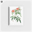 アートメモ帳-Rosa Hudsoniana Salicifolia
 - クリーブランド美術館 Memo.