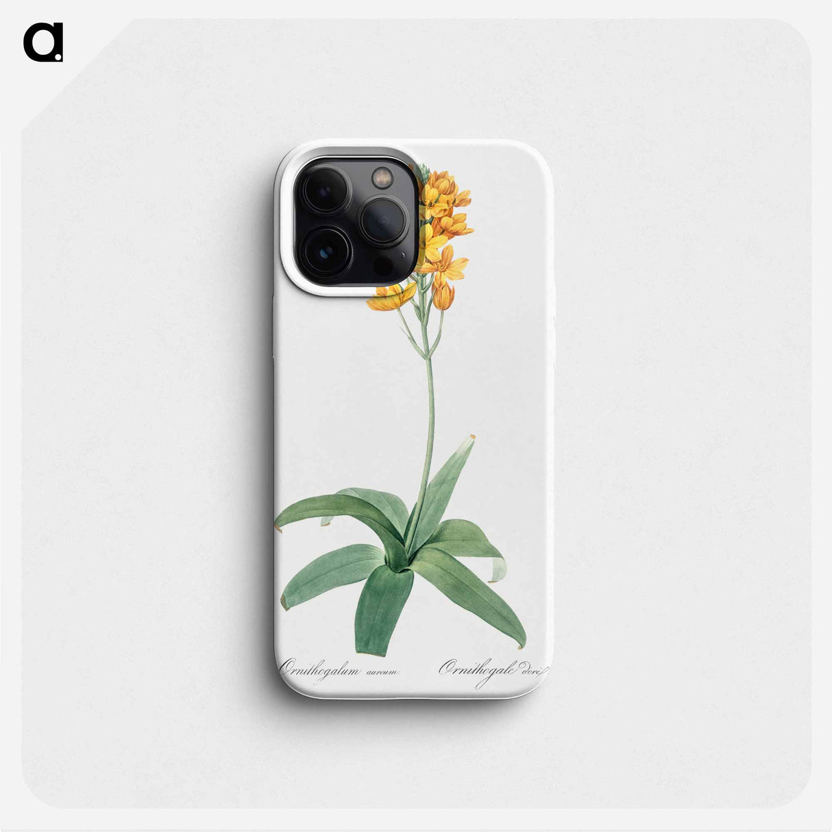 Sun star illustration - ピエール ジョゼフ ルドゥーテ Phone Case.