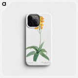 Sun star illustration - ピエール ジョゼフ ルドゥーテ Phone Case.