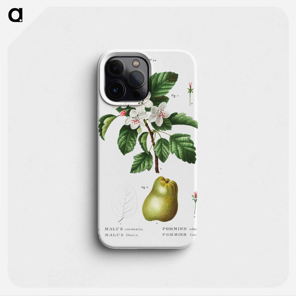 Sweet crabapple (Malus coronaria) 2. Apple (Malus dioica) - ピエール ジョゼフ ルドゥーテ Phone Case.