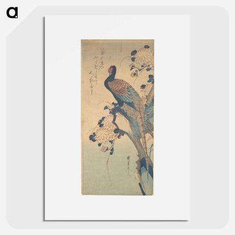 アートポスター-Pheasant with Chrysanthemums
 - 歌川 広重 Poster.