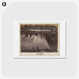 アートポストカード-Mirror Lake
 - エドワード マイブリッジ Postcard.