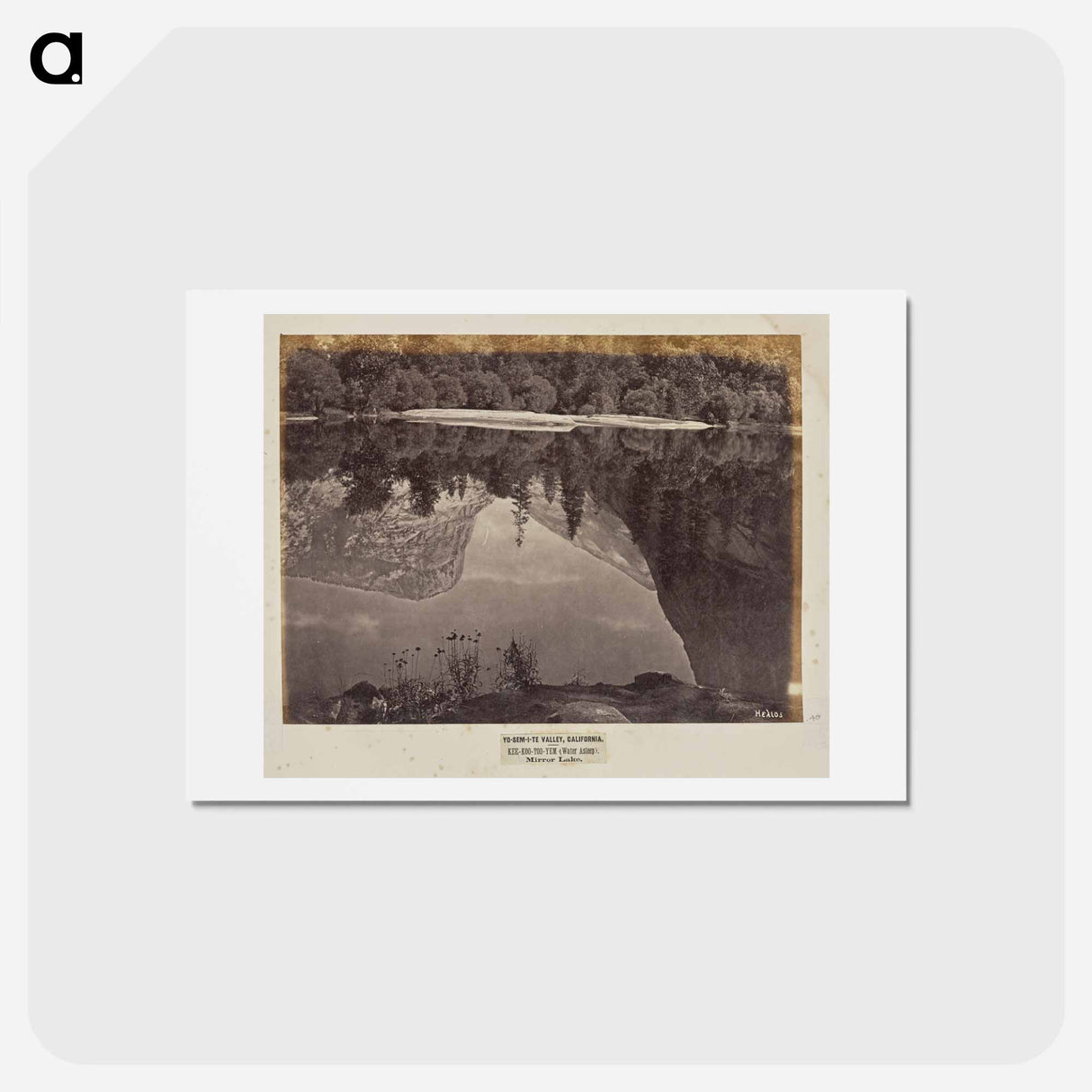 アートポストカード-Mirror Lake
 - エドワード マイブリッジ Postcard.