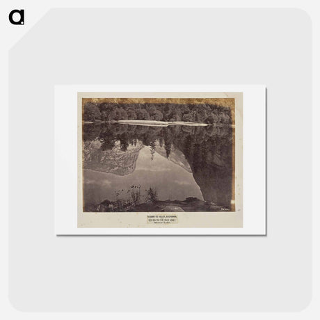アートポストカード-Mirror Lake
 - エドワード マイブリッジ Postcard.