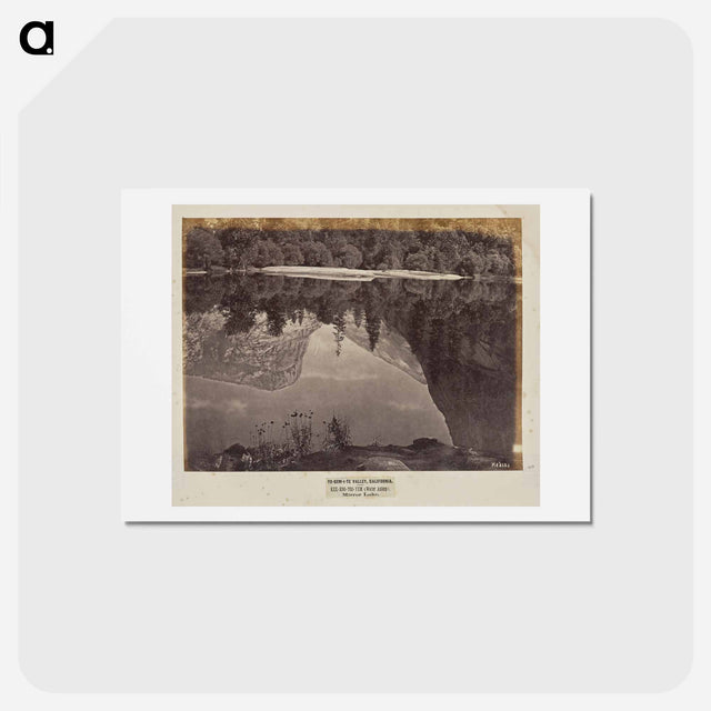 アートポストカード-Mirror Lake
 - エドワード マイブリッジ Postcard.