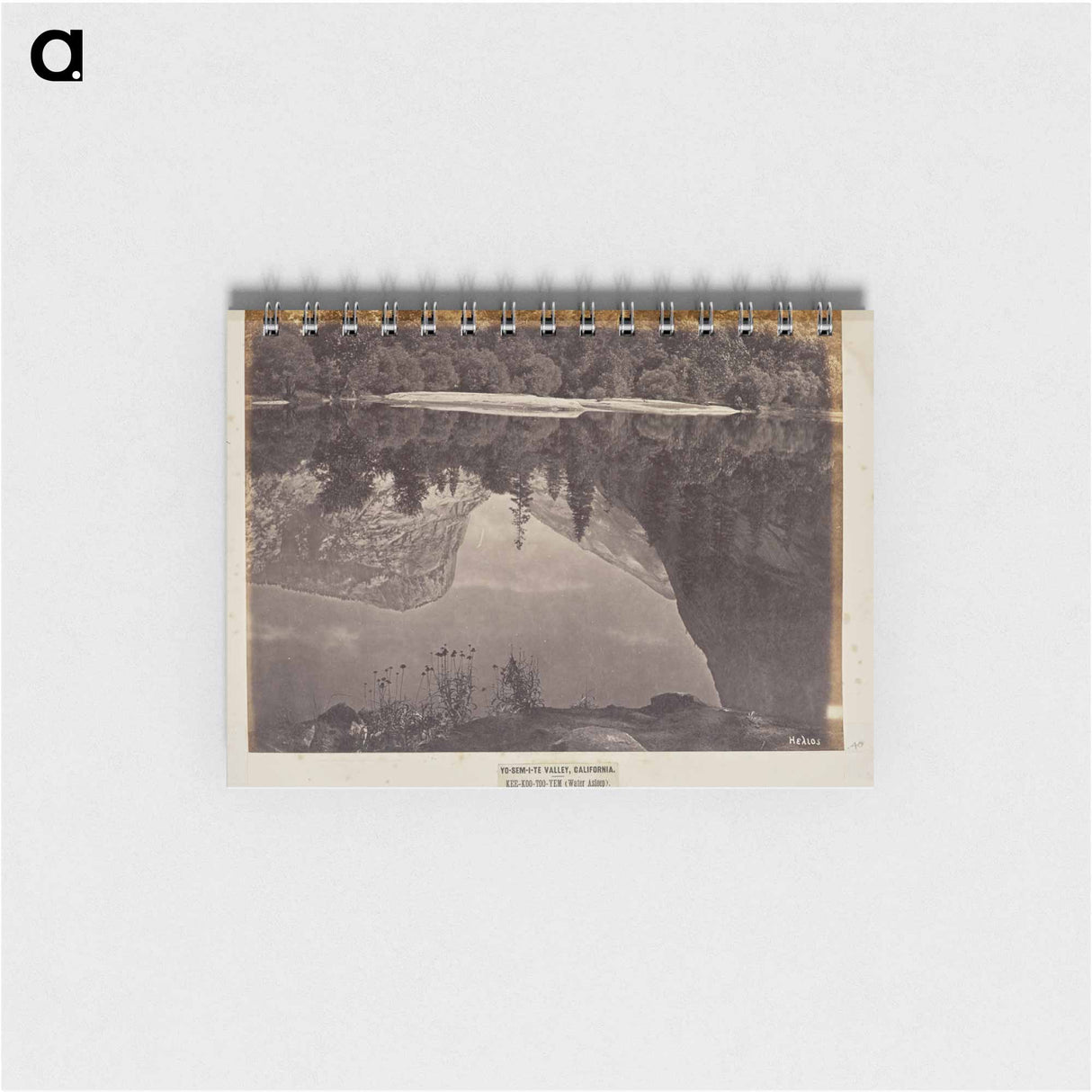 アートメモ帳-Mirror Lake
 - エドワード マイブリッジ Memo.