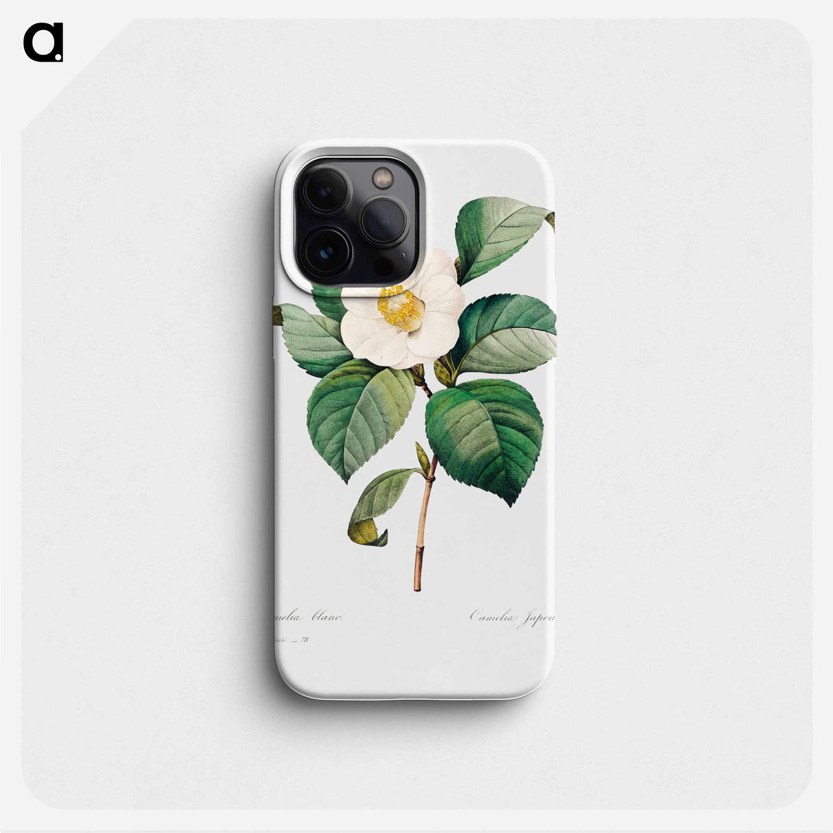 White Japanese camellia - Pierre Joseph Redouté Phone Case.