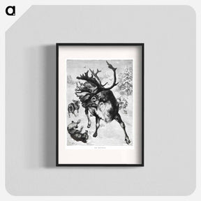 アートポスター-Reindeer Etching Illustration
 - 大英図書館 Poster.