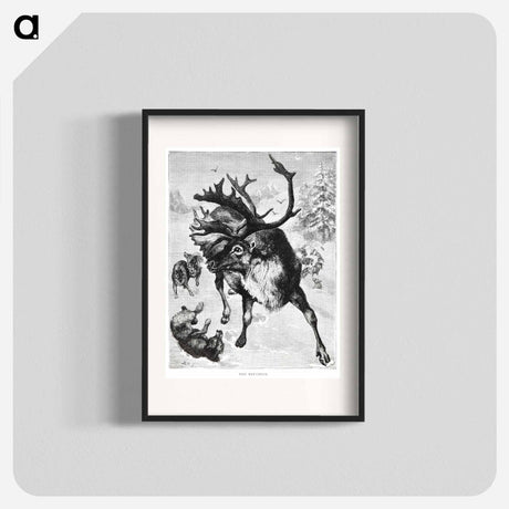 アートポスター-Reindeer Etching Illustration
 - 大英図書館 Poster.