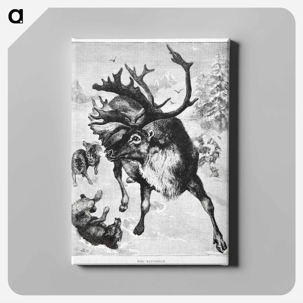 アートパネル-Reindeer Etching Illustration
 - 大英図書館 Canvas.