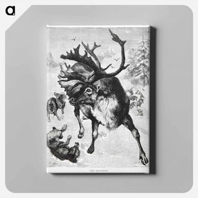 アートパネル-Reindeer Etching Illustration
 - 大英図書館 Canvas.