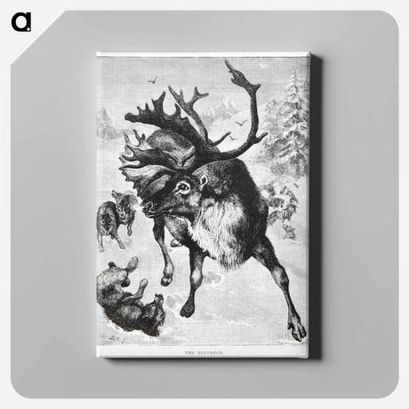 アートパネル-Reindeer Etching Illustration
 - 大英図書館 Canvas.