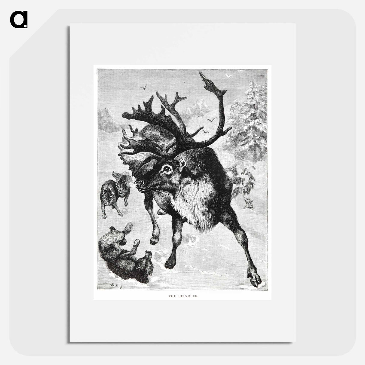 アートポスター-Reindeer Etching Illustration
 - 大英図書館 Poster.
