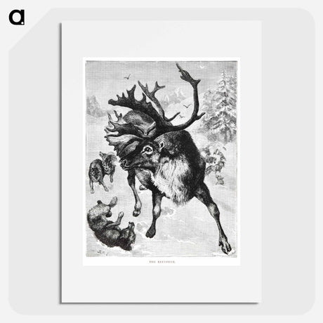 アートポスター-Reindeer Etching Illustration
 - 大英図書館 Poster.