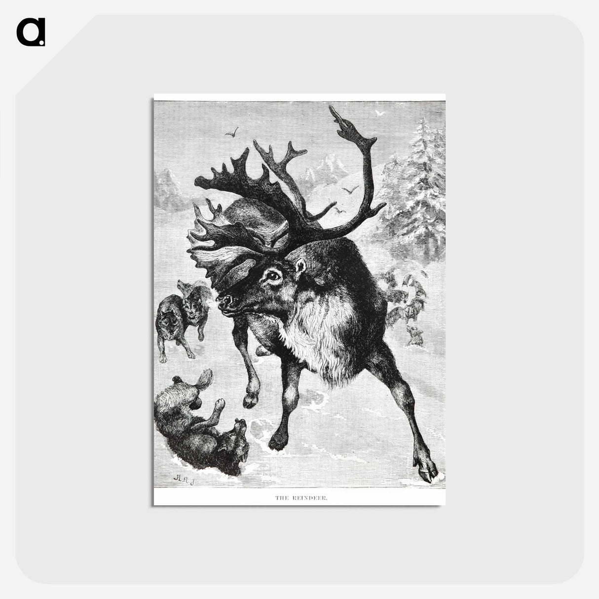 アートポストカード-Reindeer Etching Illustration
 - 大英図書館 Postcard.