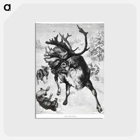 アートポストカード-Reindeer Etching Illustration
 - 大英図書館 Postcard.
