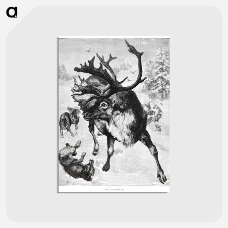 アートポストカード-Reindeer Etching Illustration
 - 大英図書館 Postcard.