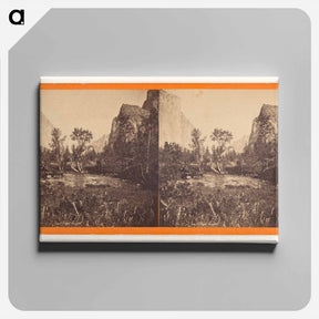 アートパネル-Yosemite Valley, Pohono Meadows
 - エドワード マイブリッジ Canvas.