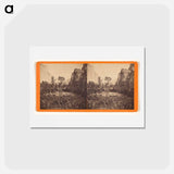 アートポストカード-Yosemite Valley, Pohono Meadows
 - エドワード マイブリッジ Postcard.