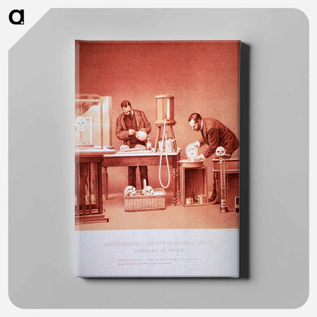 アートパネル-Ascertaining Capacity of Cranial Cavity by Means of Water: Photograph no. 3
 - 国立医学図書館 Canvas.