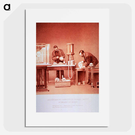 アートポスター-Ascertaining Capacity of Cranial Cavity by Means of Water: Photograph no. 3
 - 国立医学図書館 Poster.