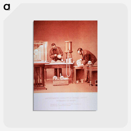 アートポストカード-Ascertaining Capacity of Cranial Cavity by Means of Water: Photograph no. 3
 - 国立医学図書館 Postcard.