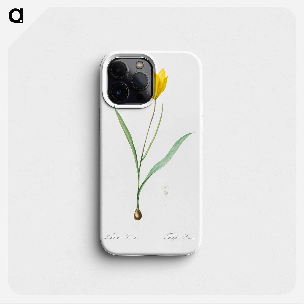 Tulipa sylvestris - Pierre Joseph Redouté Phone Case.