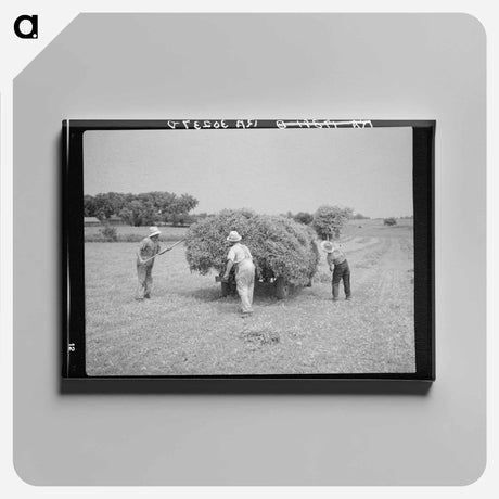 アートパネル-Goat's Teeth
 - ラッセル リー Canvas.