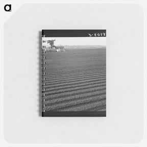 アートメモ帳-Untitled photo - ドロテア ラング Memo.