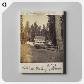 アートパネル-Hotel at Calaveras Grove
 - エドワード マイブリッジ Canvas.