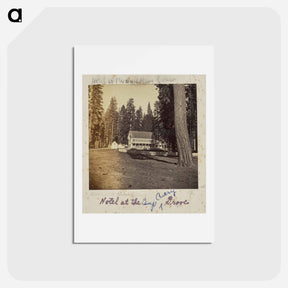 アートポストカード-Hotel at Calaveras Grove
 - エドワード マイブリッジ Postcard.