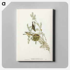 アートパネル-Gray-backed Zosterops
 - ジョン グールド Canvas.