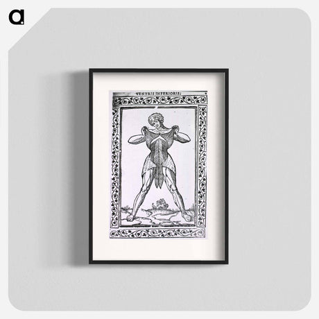 アートポスター-Abdominal Muscles
 - 国立医学図書館 Poster.